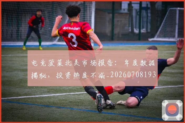 电竞菠菜北美市场报告：年度数据揭秘，投资热度不减_20260708193616_20260802162801